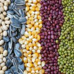 Mesin pembungkusan benih automatik