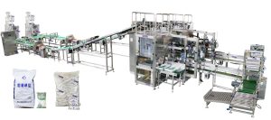 ZLG2P2 Automatic Secondary Packaging Baling Machine for Rice Sugar Salt